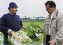 Lippens Food Express: Groententransport & Fruittransport