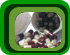 Farmaceutica