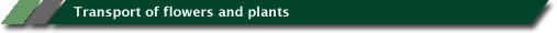 Lippens Food Express: Bloementransport & Plantentransport