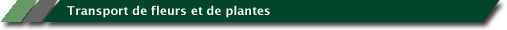 Lippens Food Express: Bloementransport & Plantentransport
