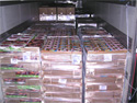 Lippens Food Express: Diepvriestransport