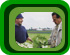Groententransport & Fruittransport